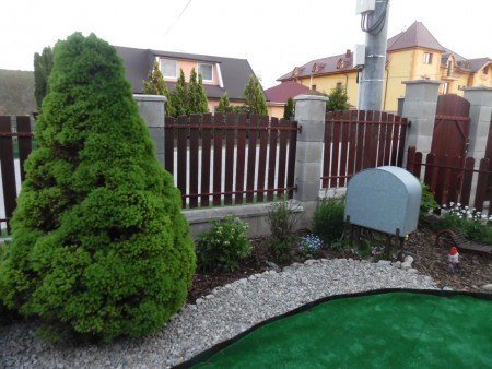 Útulné zákutie predzáhradky s čemericou a nezábudkou